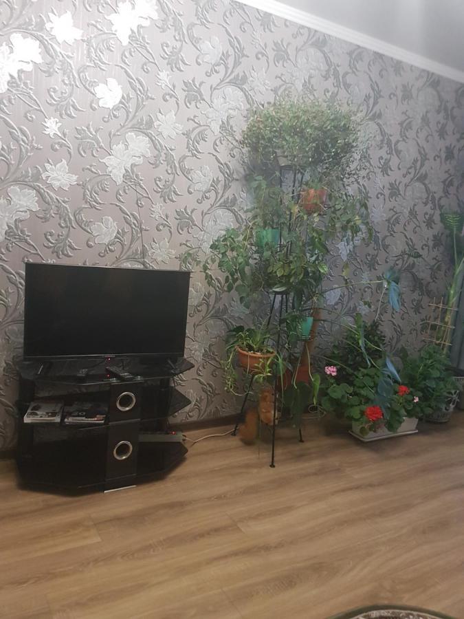 Ferienwohnung 2Х Комнатная С Ремонтом В Центре.Renovated, Center Khmelʼnytsʼkyy Exterior foto